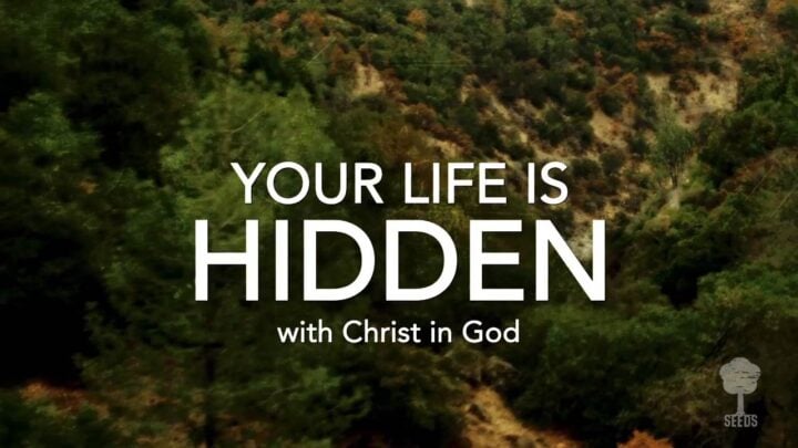 Your Life is Hidden Colossians The Word of God Product Screenshot Image Single Video