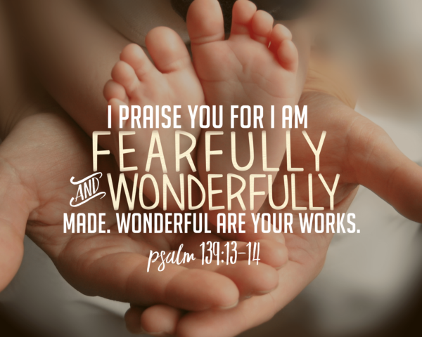 Fearfully and Wonderfully Made (Psalm 139:13-14)