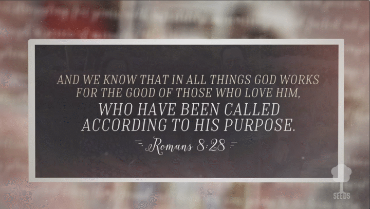 If God Is For Us Romans Seeds of Purpose Product Screenshot Image Single Video