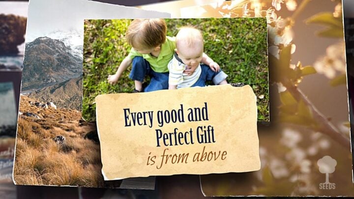 Heavenly Lights James The Power of Encouragement Product Screenshot Image