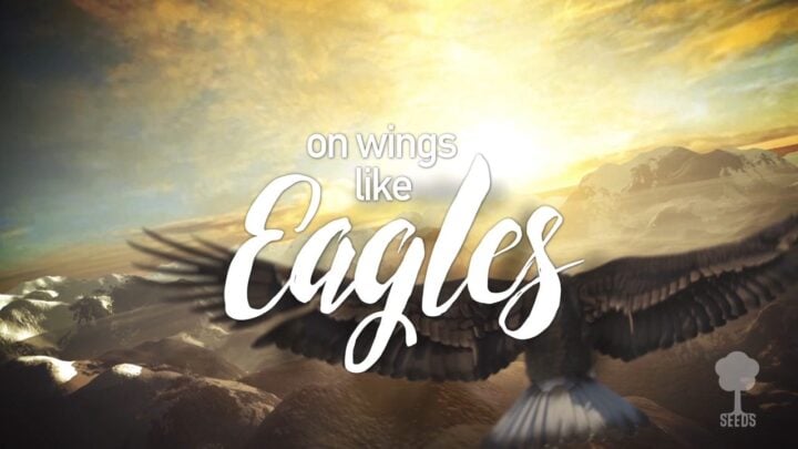 Soar Like Eagles Psalm The Power of Encouragement Product Hand Motion Screenshot Image Kylie