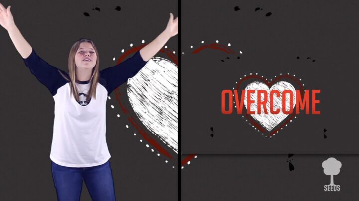 Take Heart Hand Motions/Split