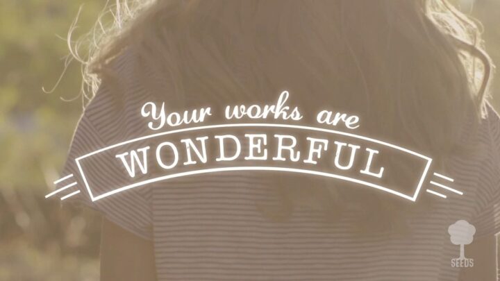 Wonderfully Made Psalm The Power of Encouragement Product Screenshot Image