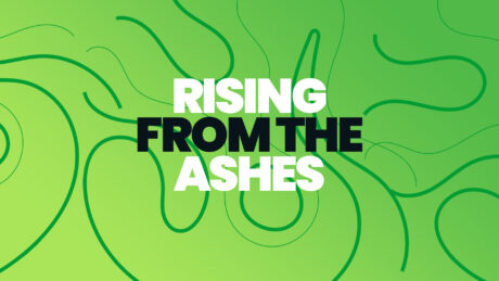 Rising From The Ashes
