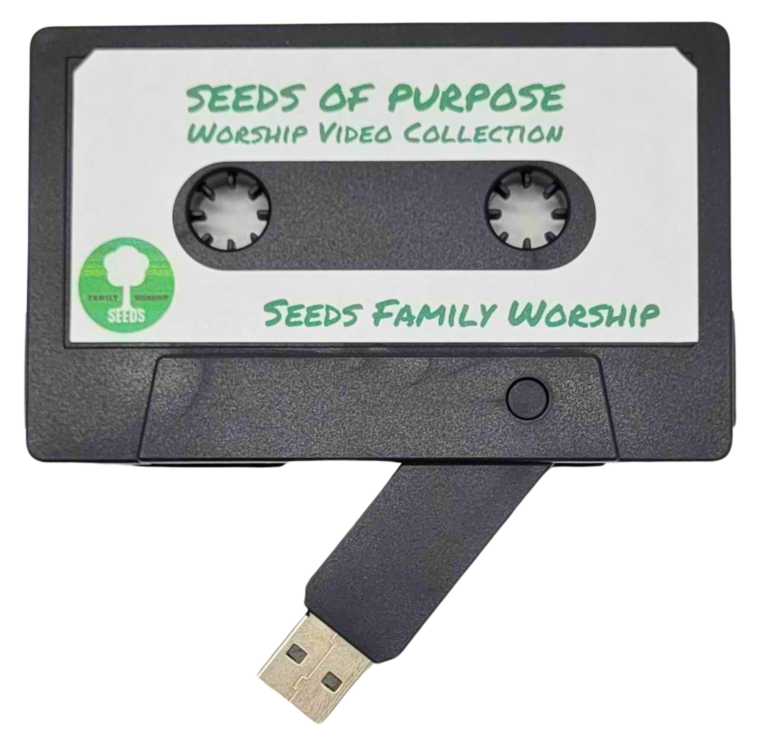 Don't Miss This Moment with Seeds Kids Worship -