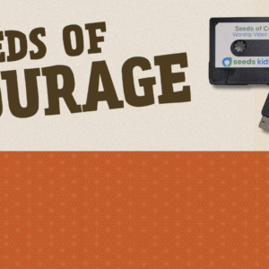 Seeds of Courage Worship Video Collection with a USB