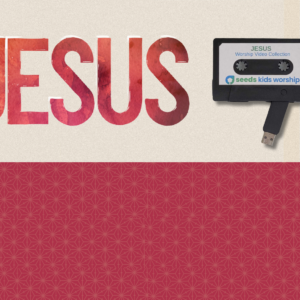 Jesus Worship Video Collection with a USB