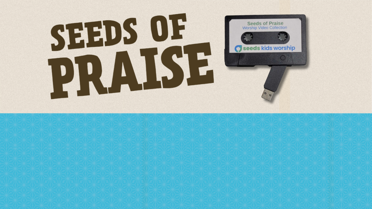 Seeds of Praise Worship Video Collection with a USB