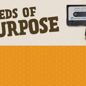 Seeds of Purpose Worship Video Collection with a USB