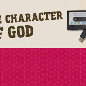 The Character of God Worship Video Collection with a USB