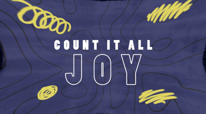 Count It All Joy James Product Screenshot Image